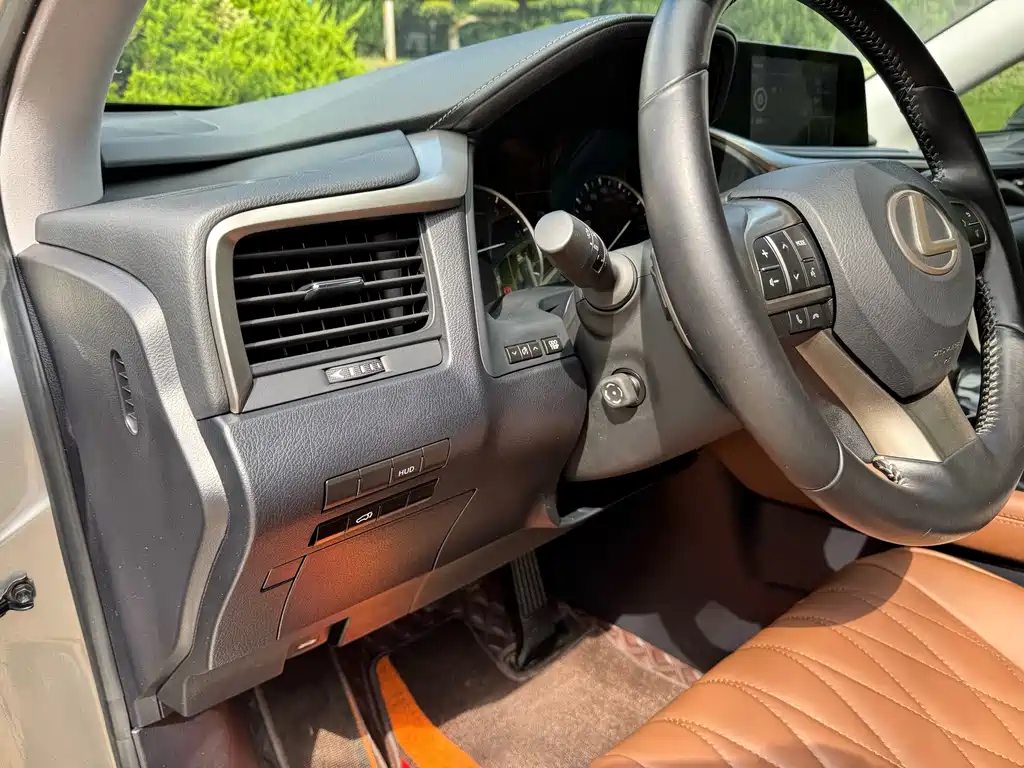 Lexus RX — фото 13
