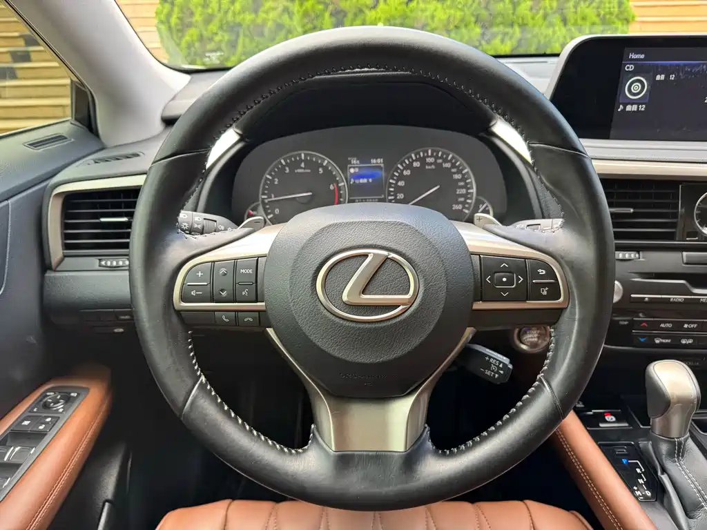 Lexus RX — фото 16