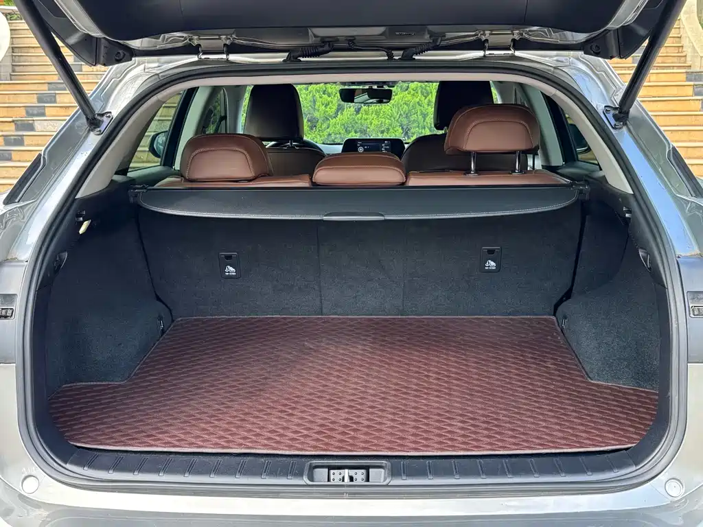 Lexus RX — фото 23