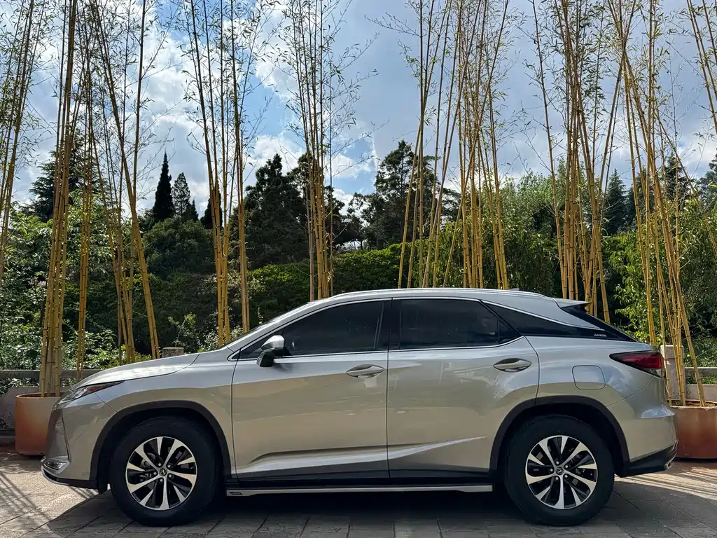 Lexus RX — фото 4