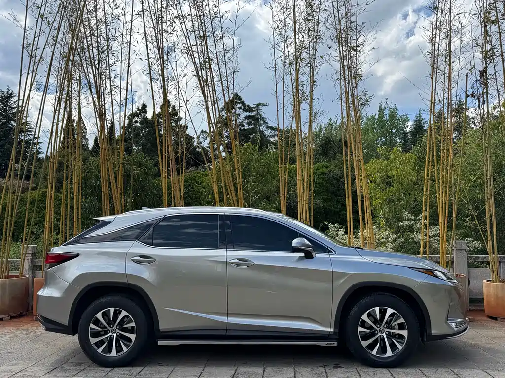 Lexus RX — фото 5
