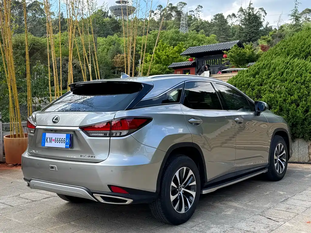 Lexus RX — фото 8