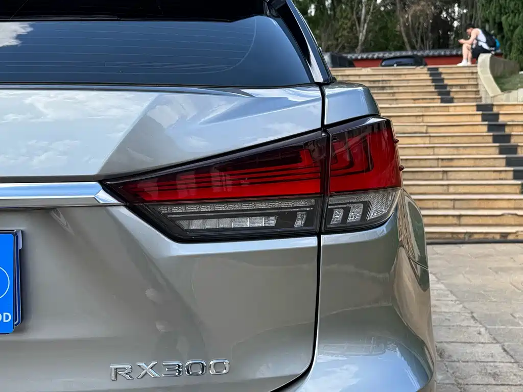 Lexus RX — фото 9