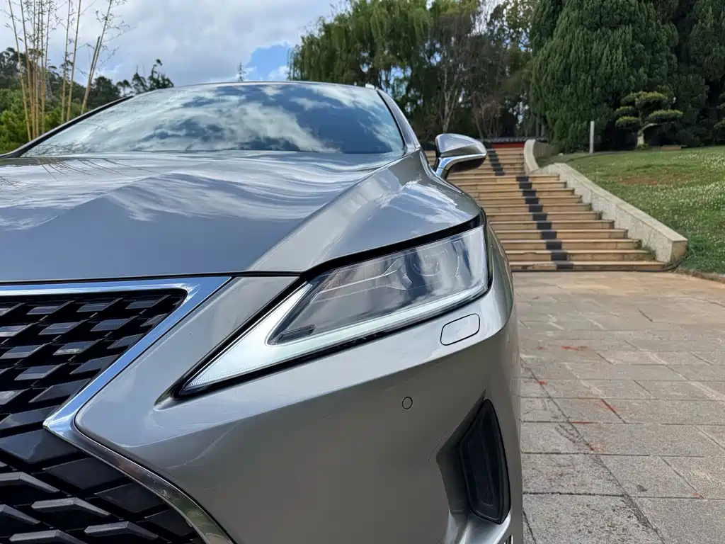 Lexus RX — фото 10