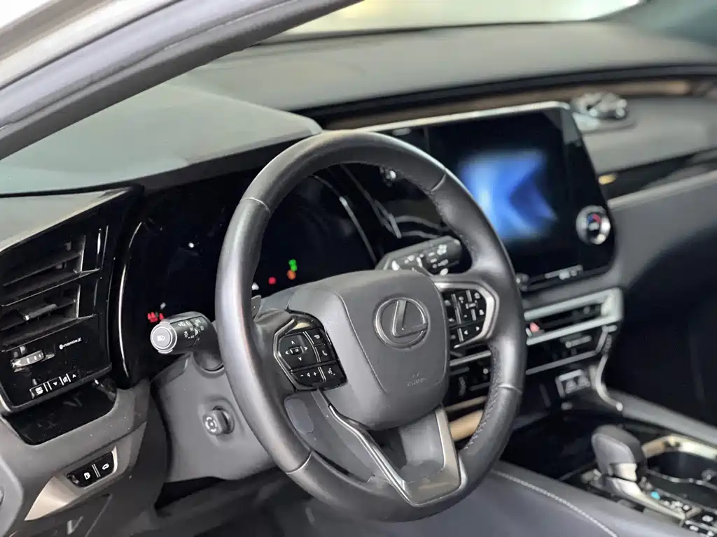 Lexus RX — фото 16
