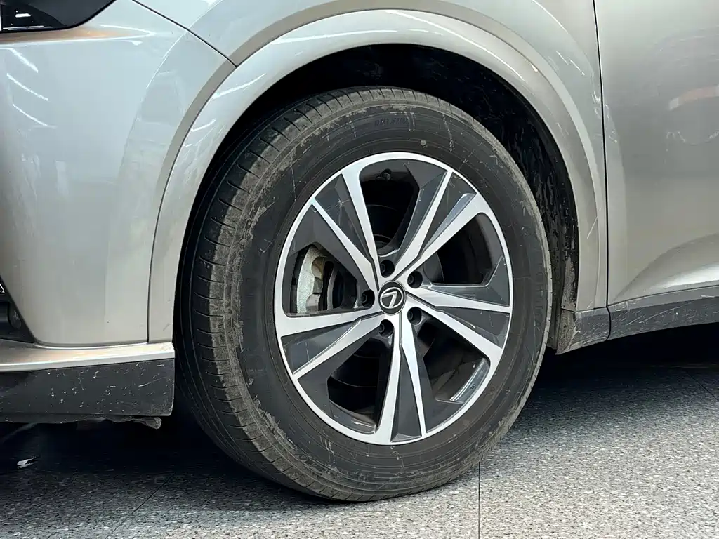 Lexus RX — фото 17