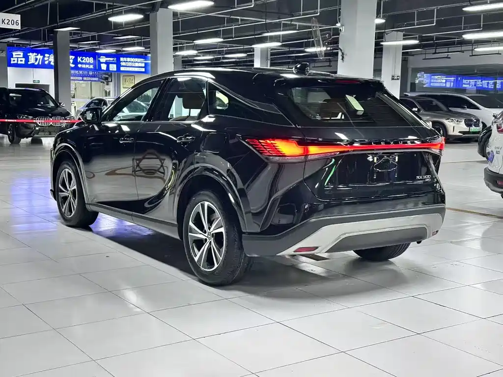 Lexus RX — фото 9