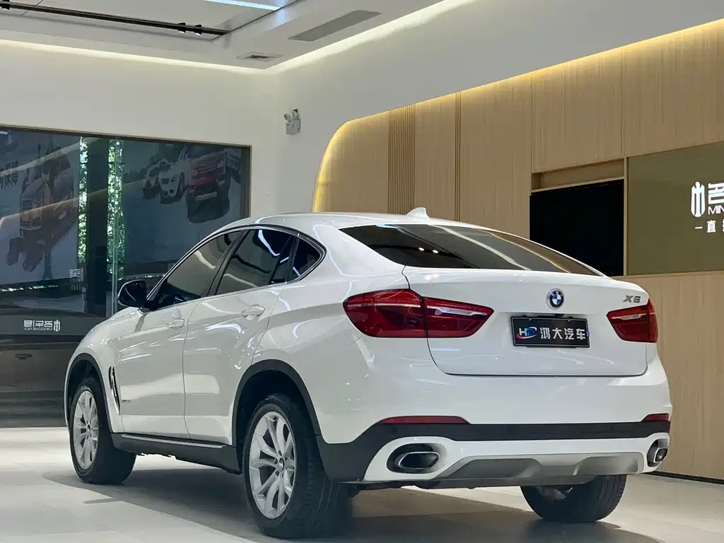 BMW X6 — фото 5