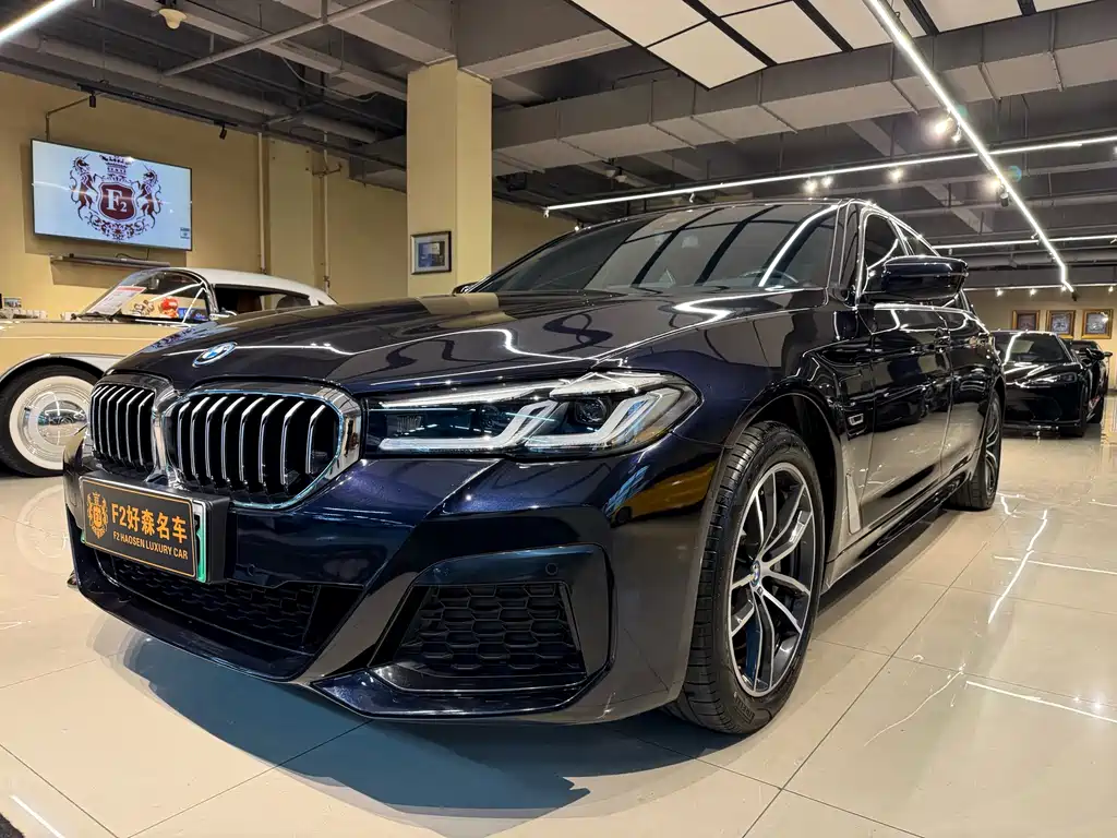 BMW 5 Series New Energy — фото 2