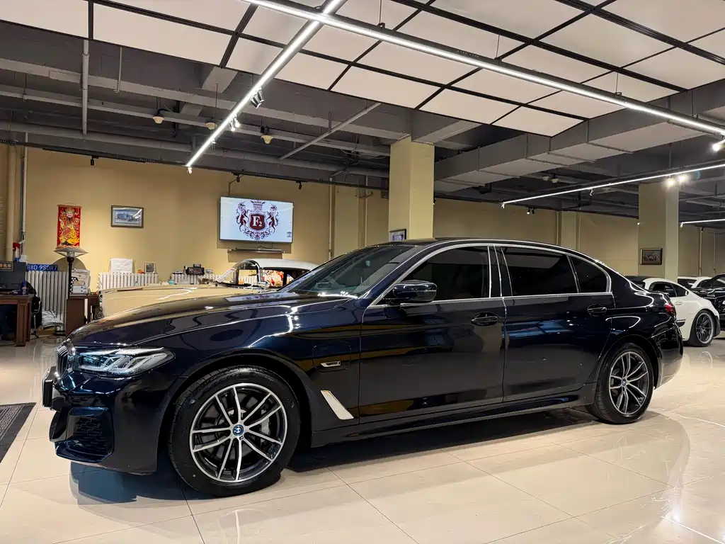 BMW 5 Series New Energy — фото 3