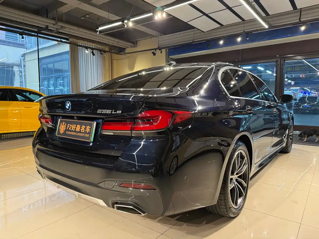 BMW 5 Series New Energy — фото 25