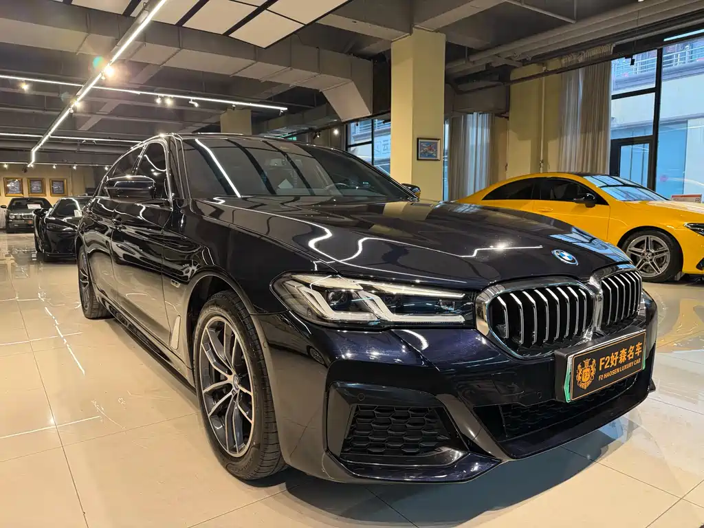 BMW 5 Series New Energy — фото 6