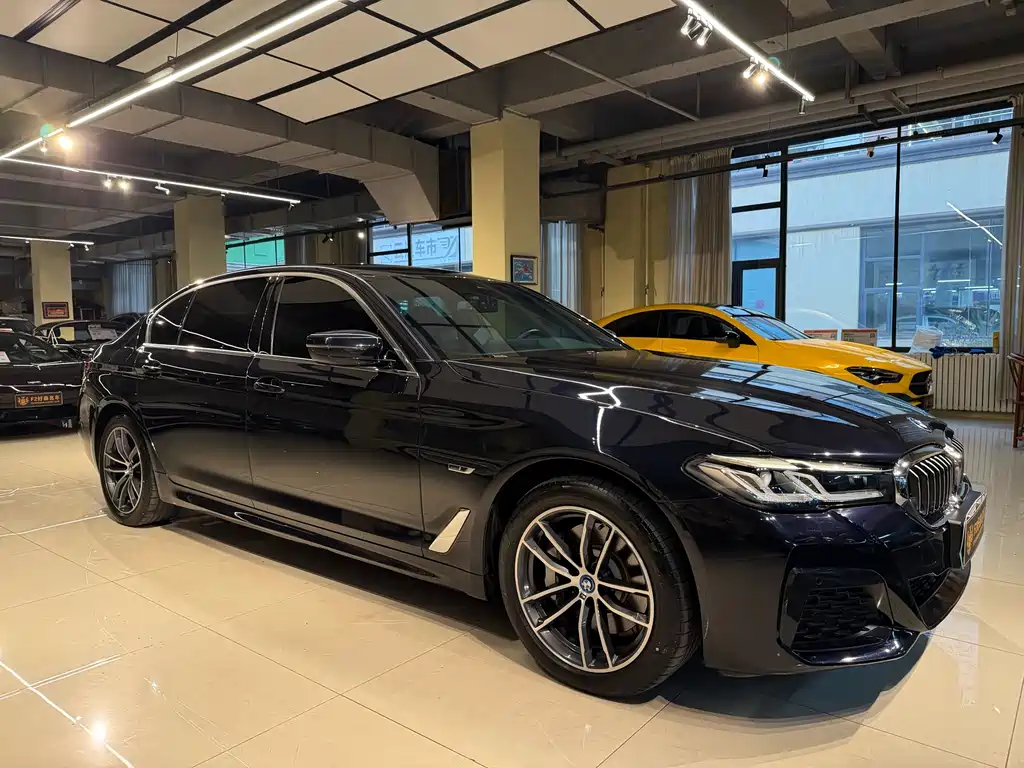 BMW 5 Series New Energy — фото 7