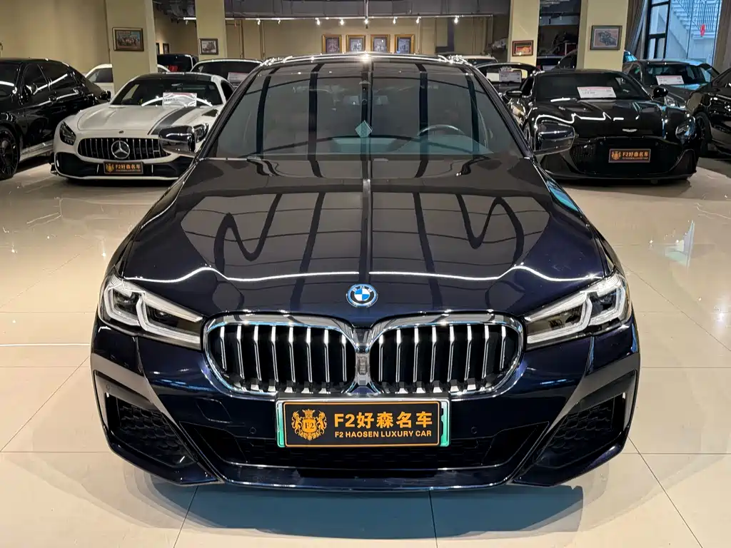 BMW 5 Series New Energy — фото 8