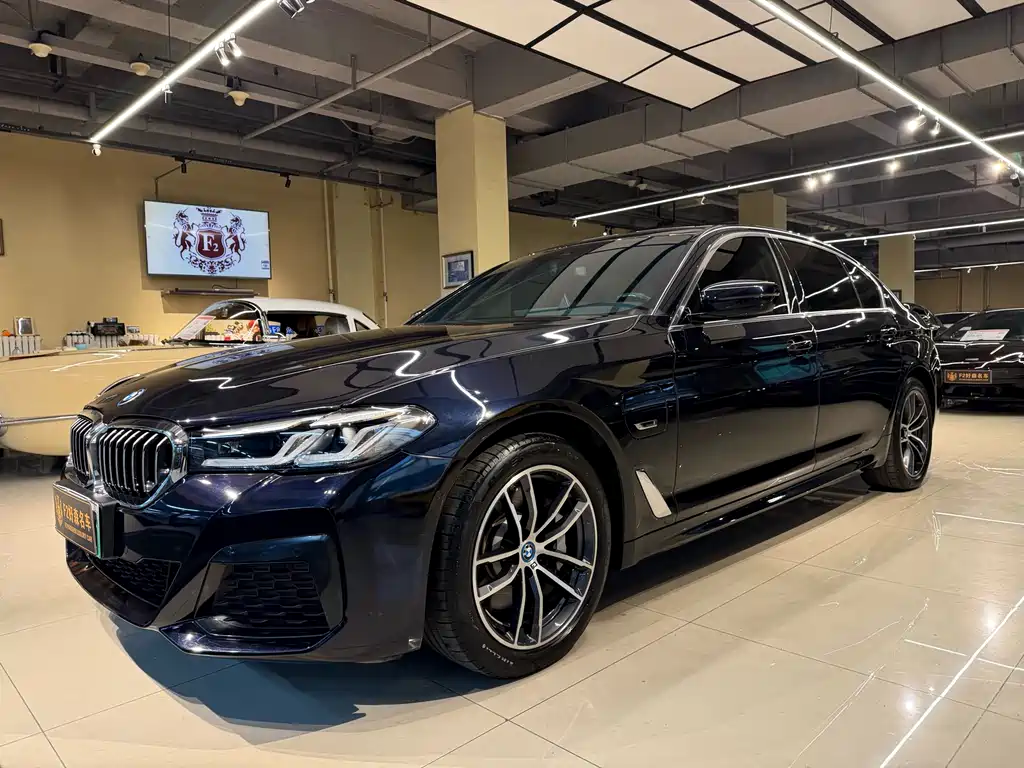 BMW 5 Series New Energy