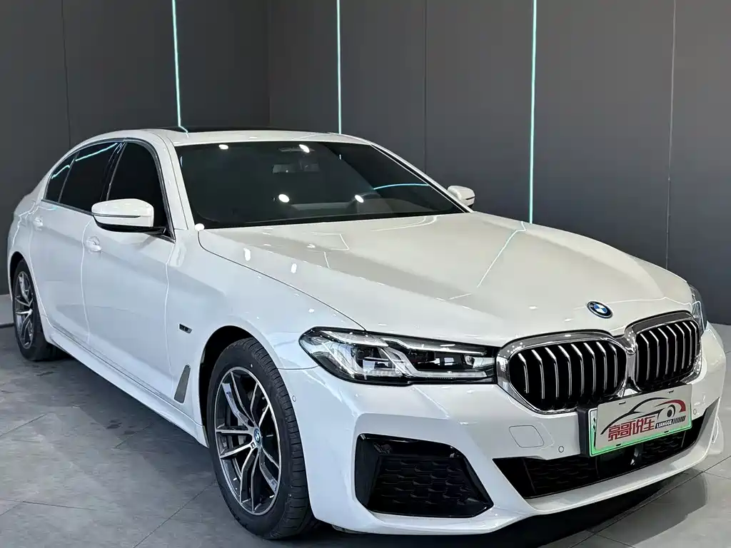 BMW 5 Series New Energy — фото 3