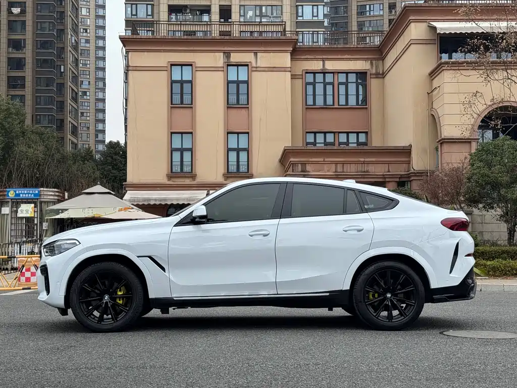 BMW X6 — фото 16