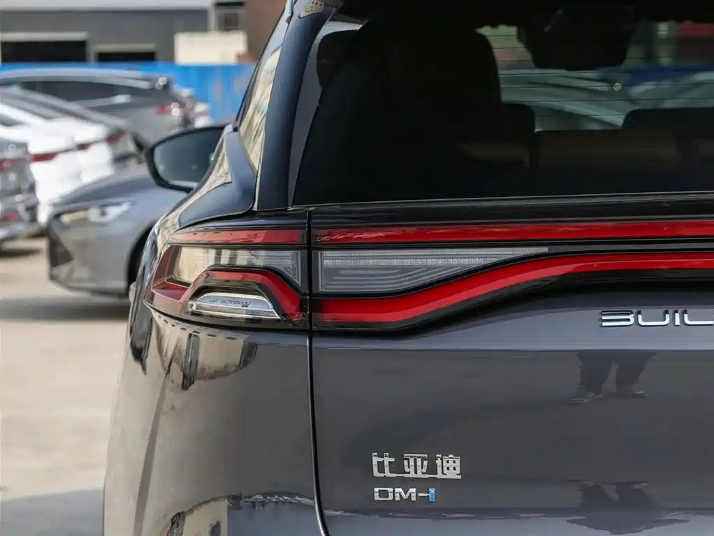 BYD Tang New Energy — фото 15