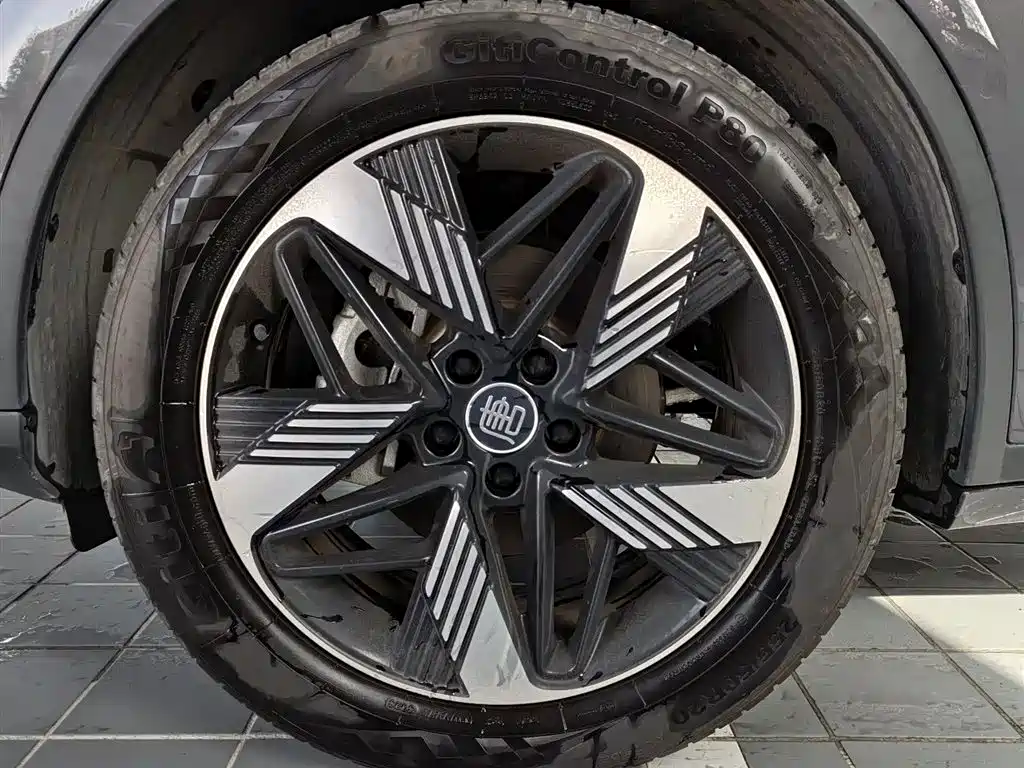 BYD Tang New Energy — фото 19
