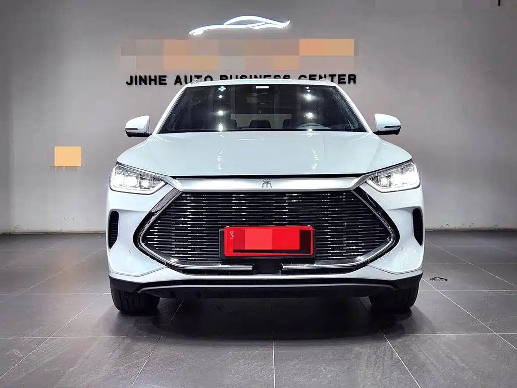 BYD PLUS New Energy — фото 2