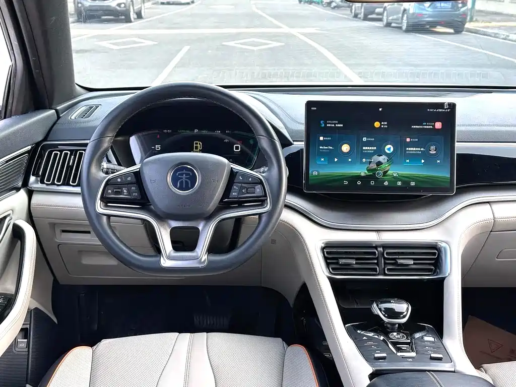 BYD PLUS New Energy — фото 6