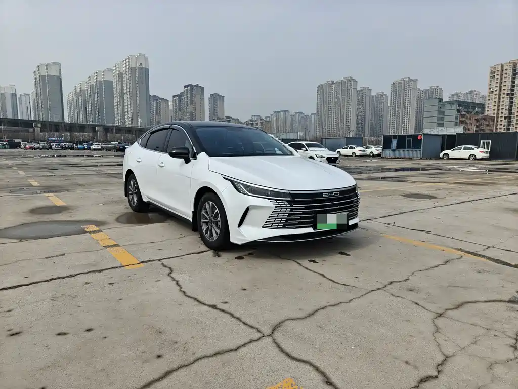 BYD Destroyer 05 — фото 3