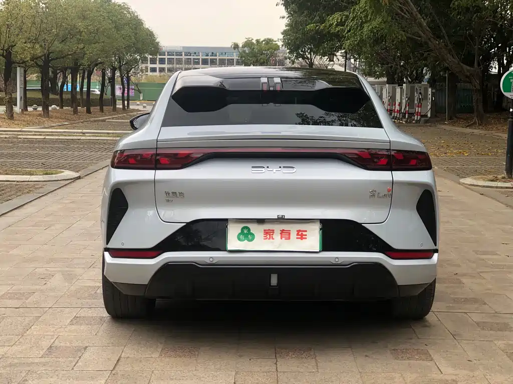 BYD L EV — фото 4