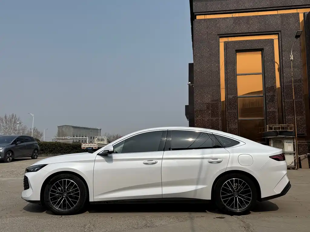 BYD Qin L — фото 4