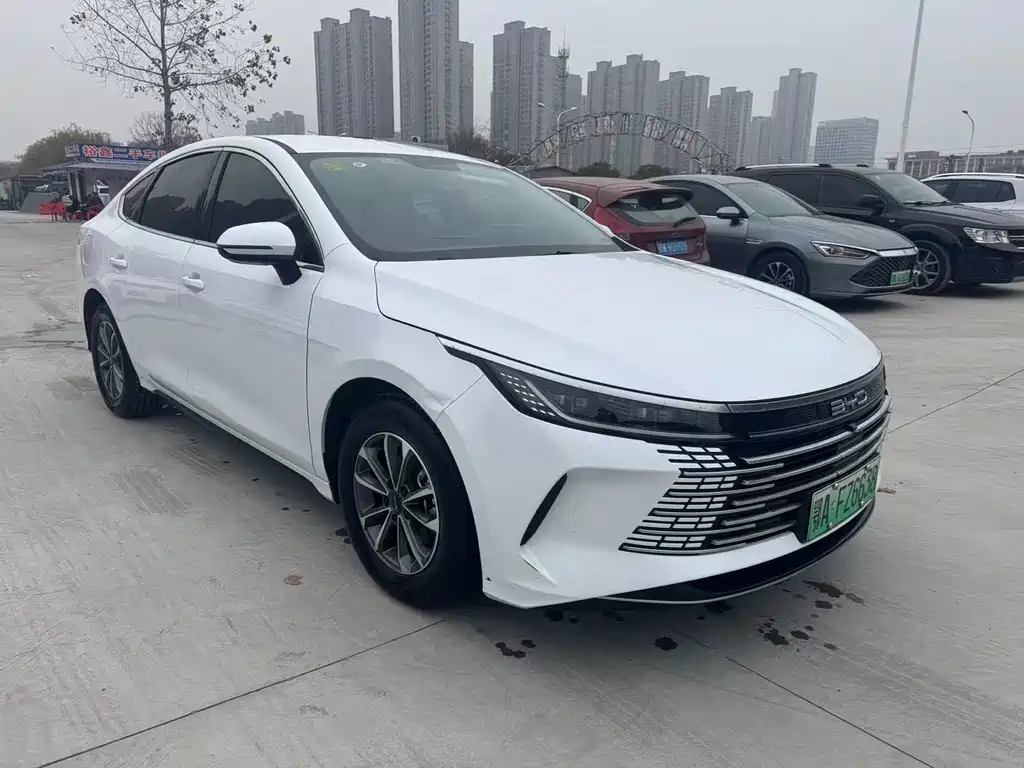 BYD Destroyer 05 — фото 3