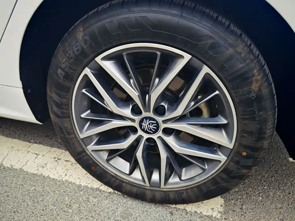 BYD Qin PLUS — фото 13