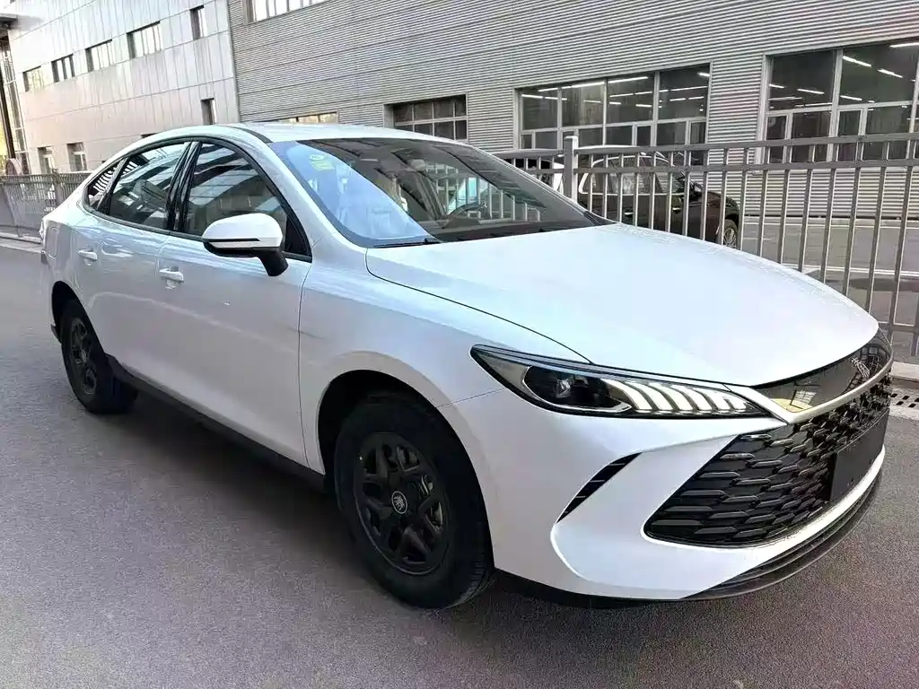 BYD Qin PLUS — фото 3