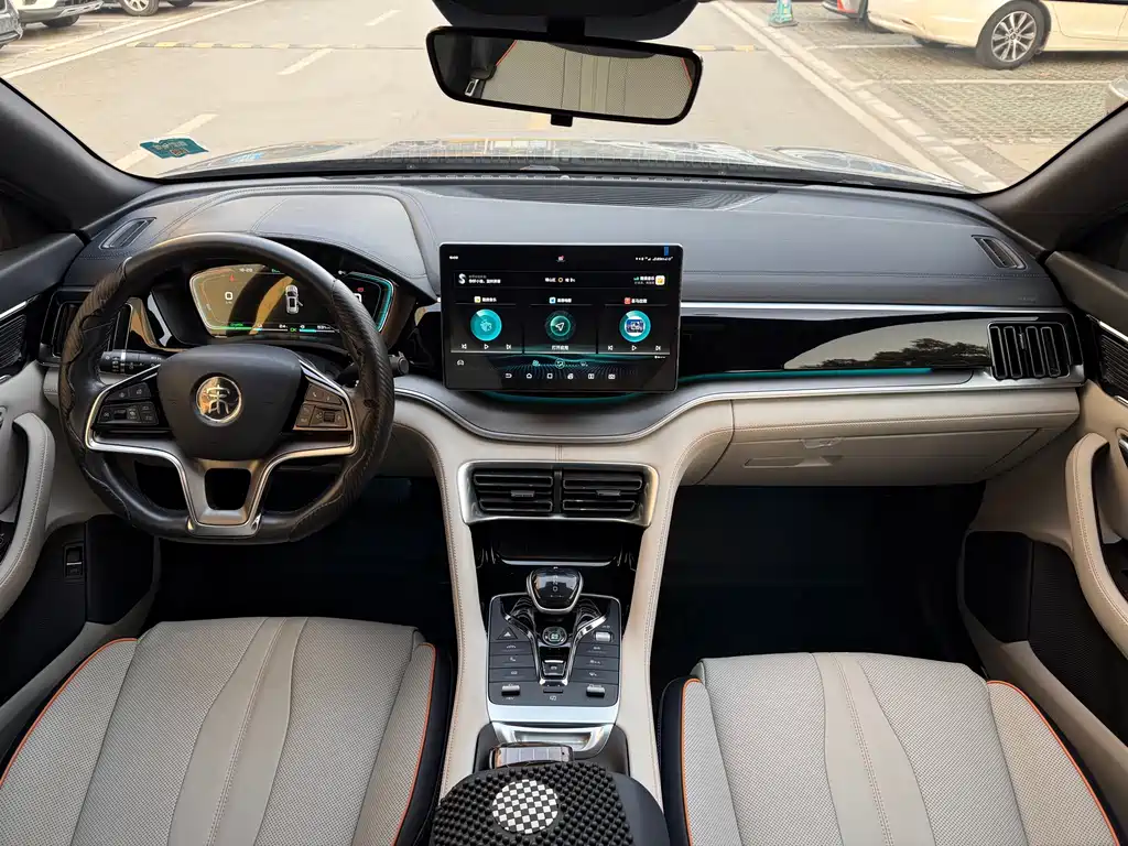 BYD PLUS New Energy — фото 4