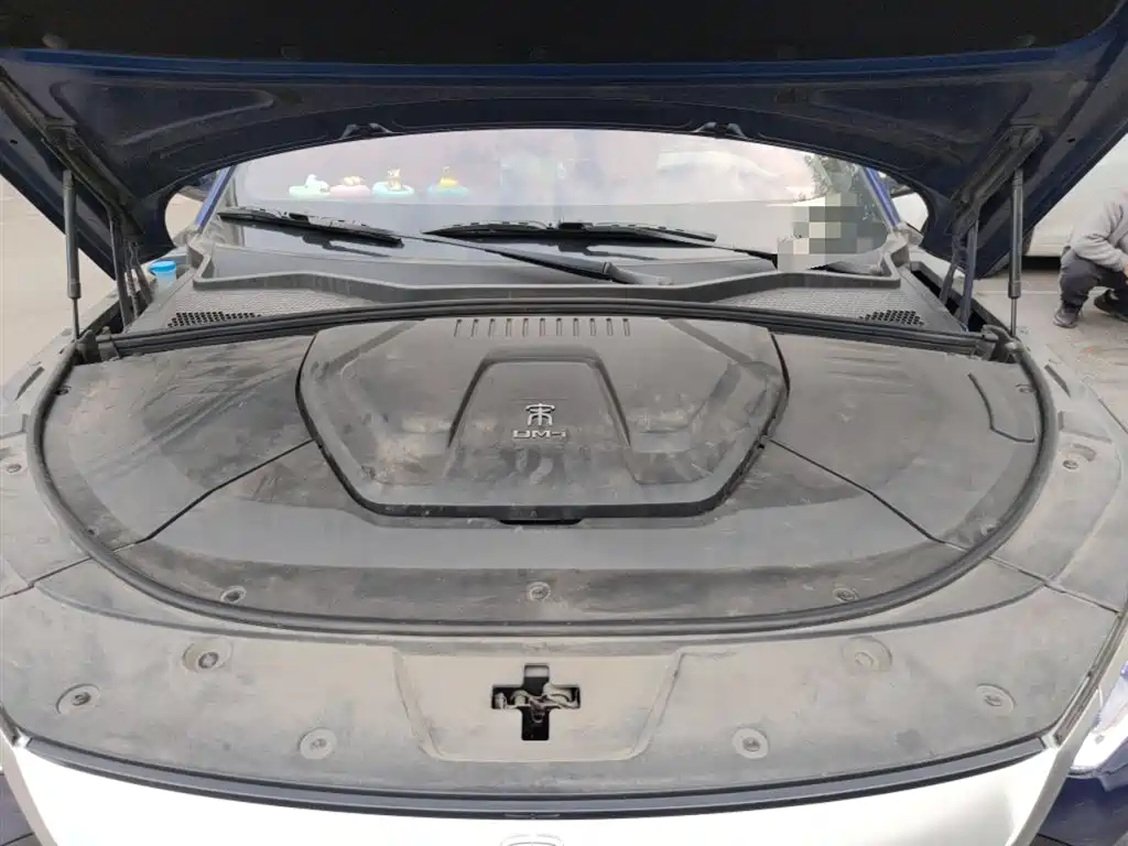 BYD PLUS New Energy — фото 11