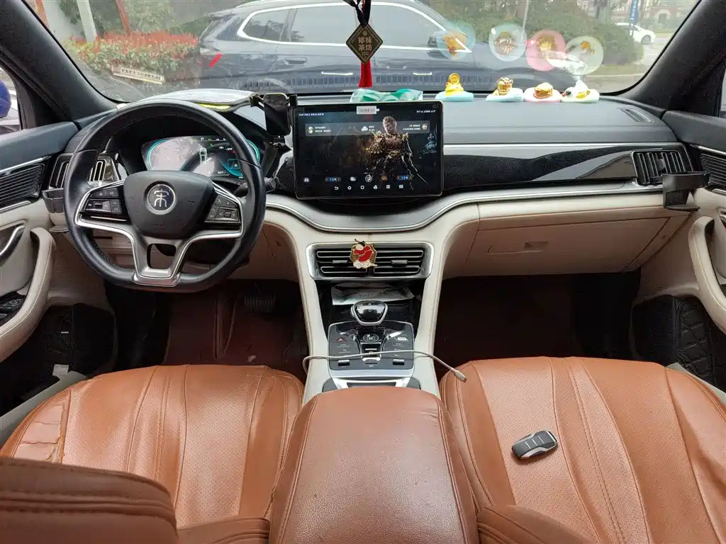 BYD PLUS New Energy — фото 13