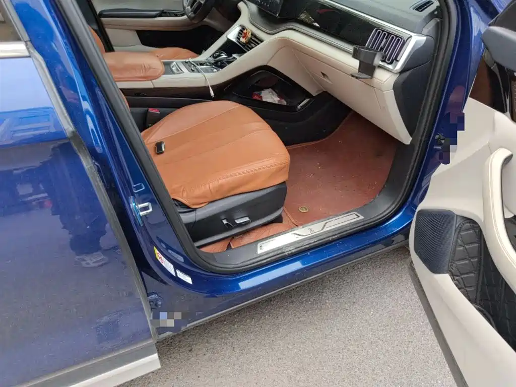 BYD PLUS New Energy — фото 20