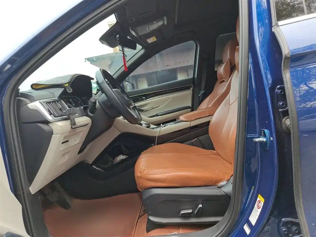 BYD PLUS New Energy — фото 8