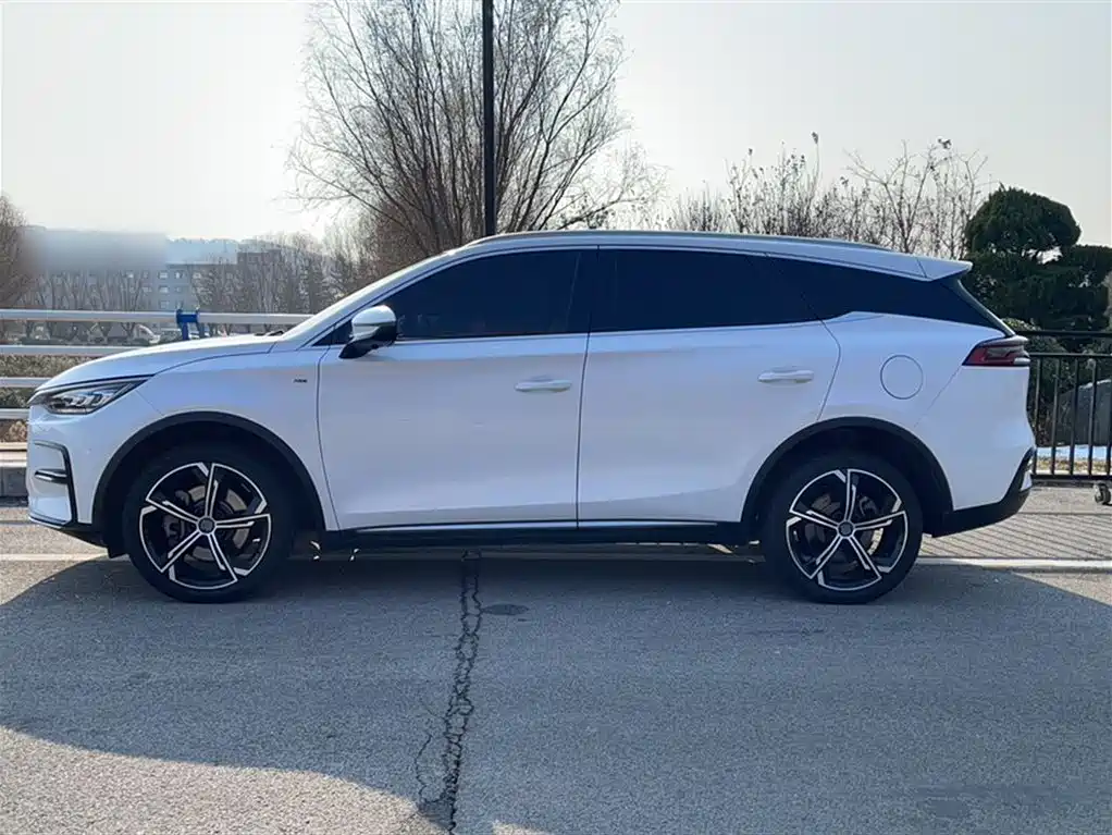 BYD Tang New Energy — фото 19
