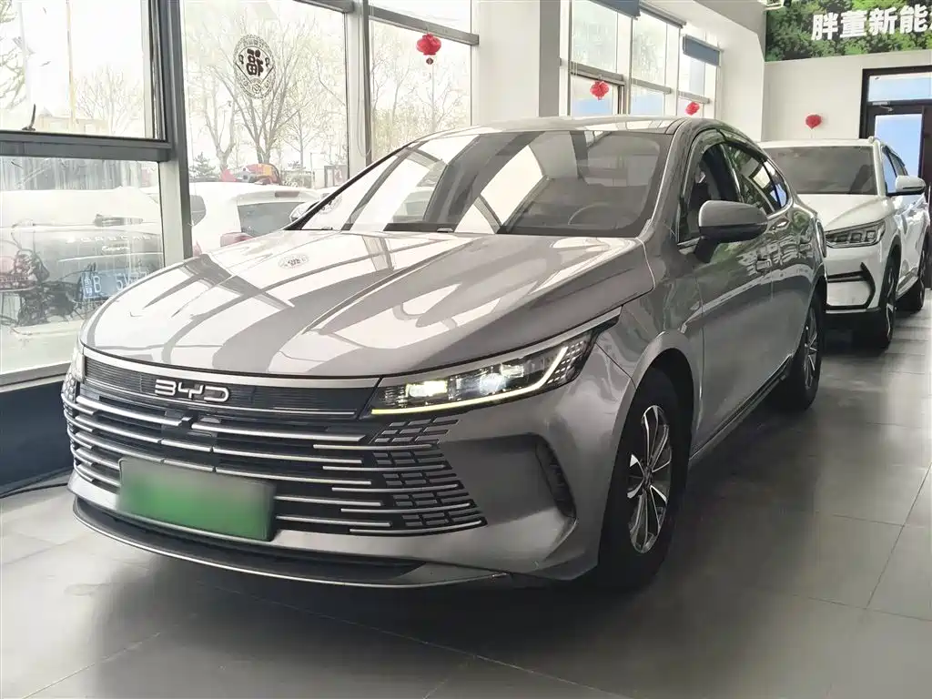 BYD Destroyer 05 — фото 2
