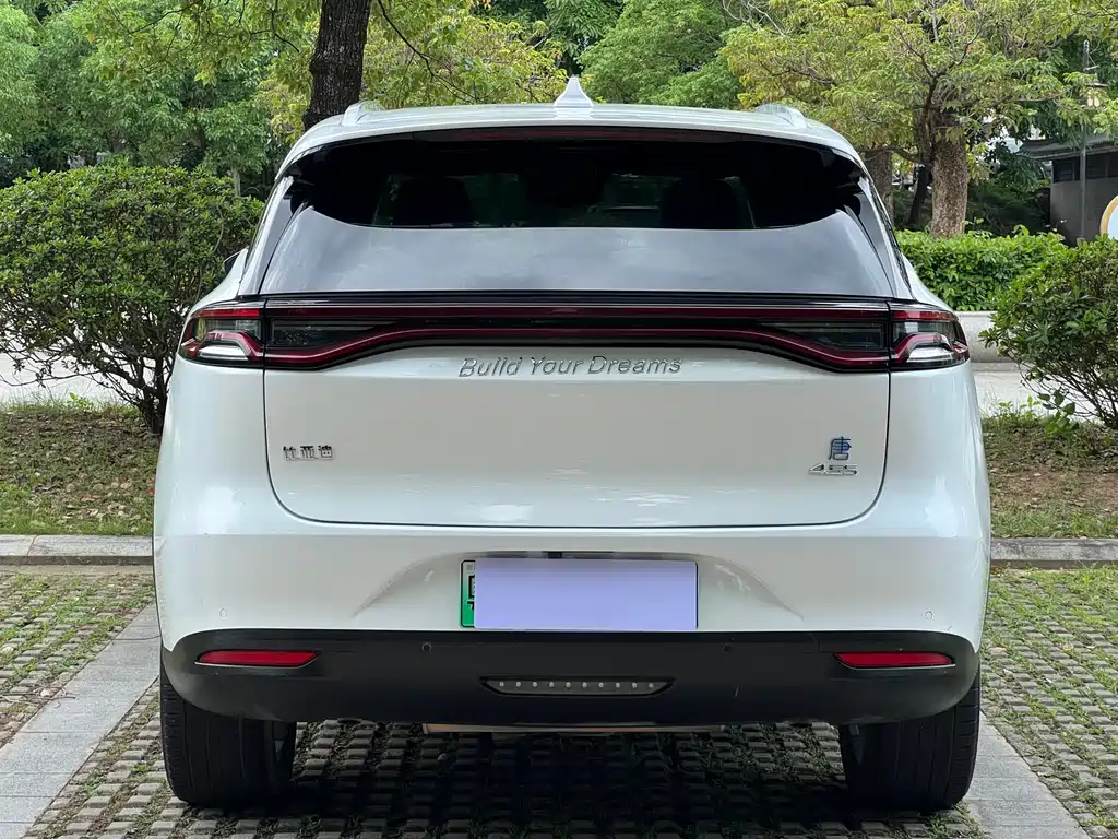 BYD Tang New Energy — фото 18