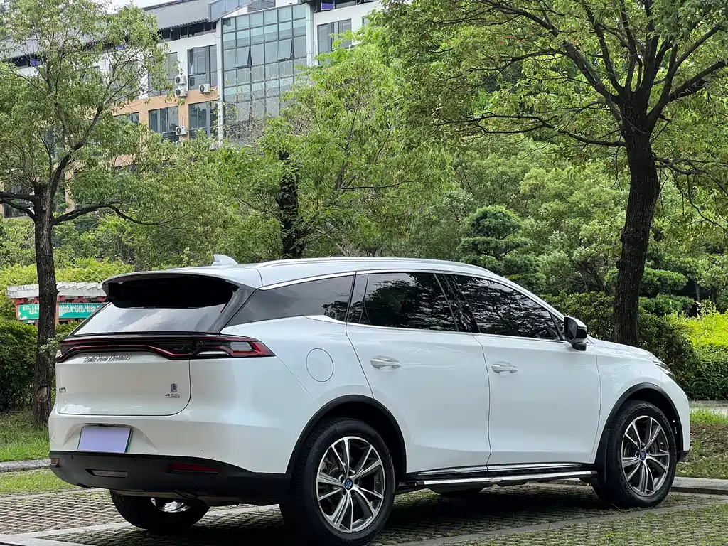 BYD Tang New Energy — фото 19