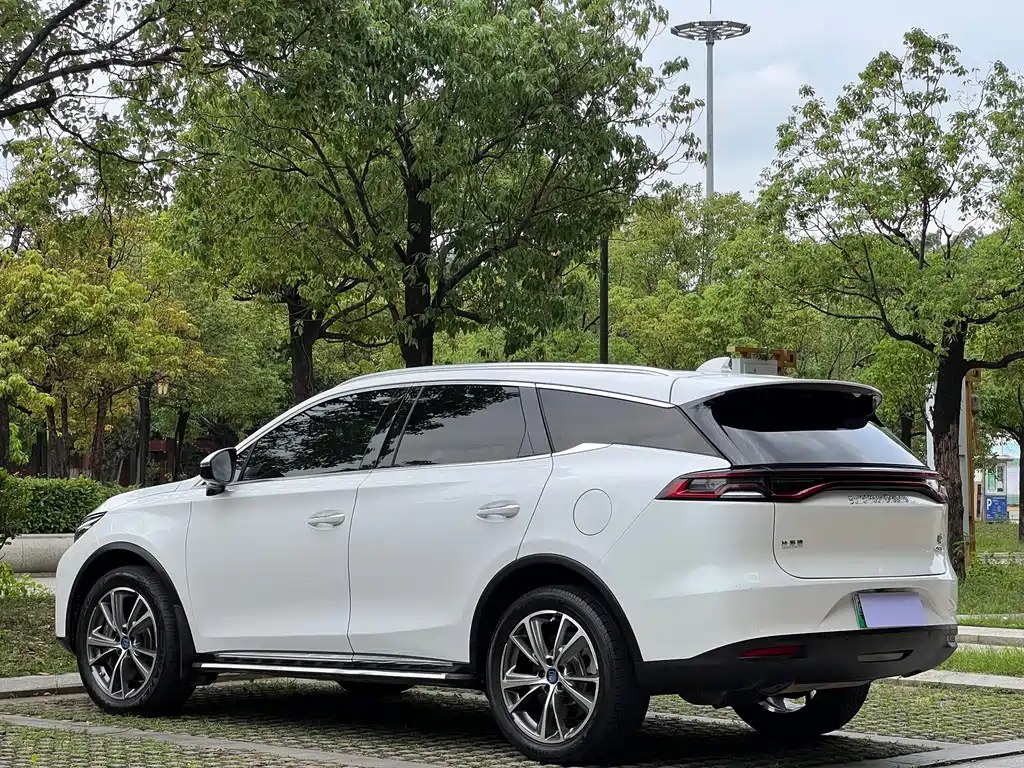BYD Tang New Energy — фото 20