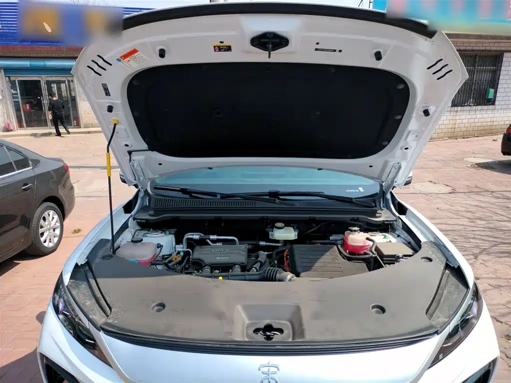 BYD Pro New Energy — фото 20