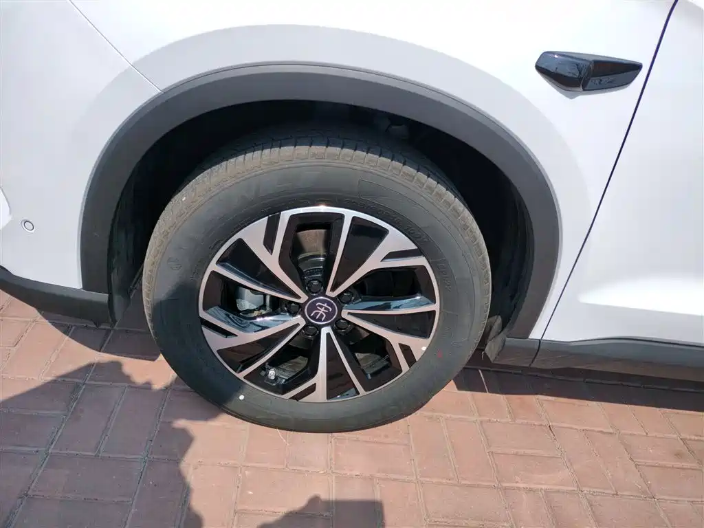 BYD Pro New Energy — фото 23