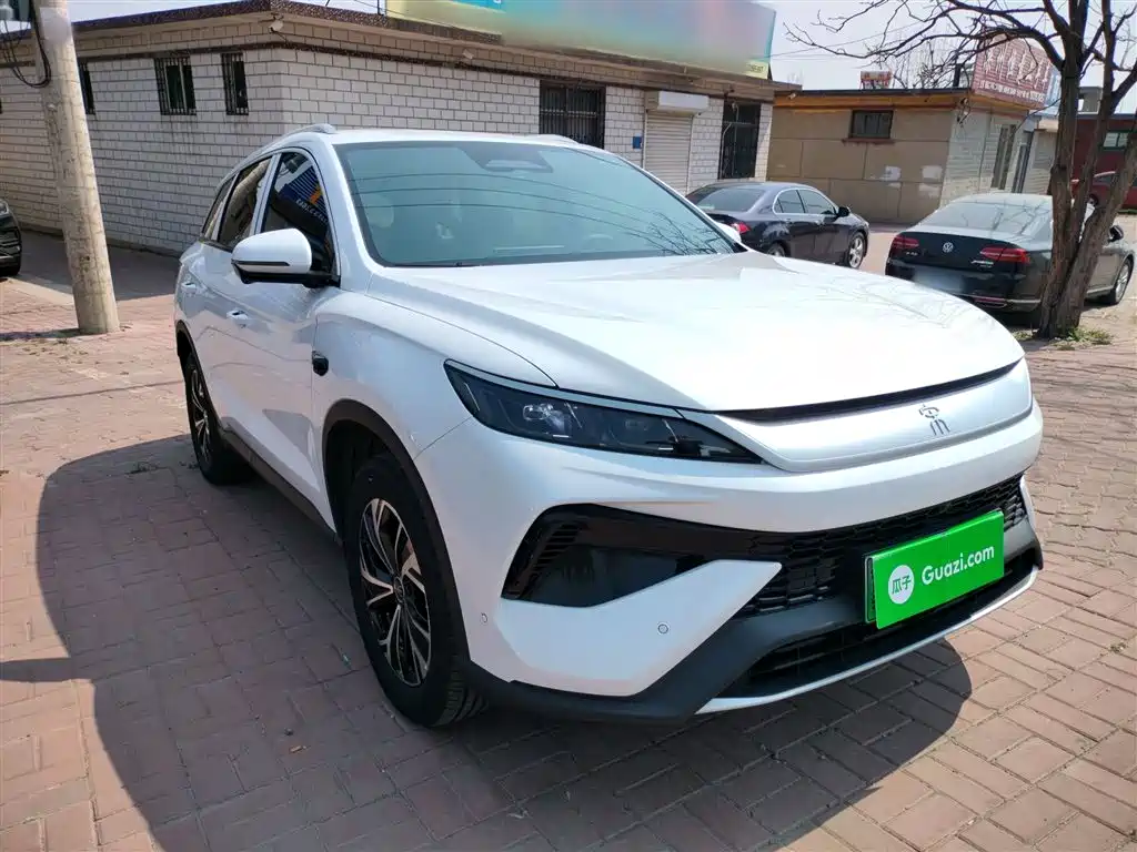 BYD Pro New Energy — фото 4