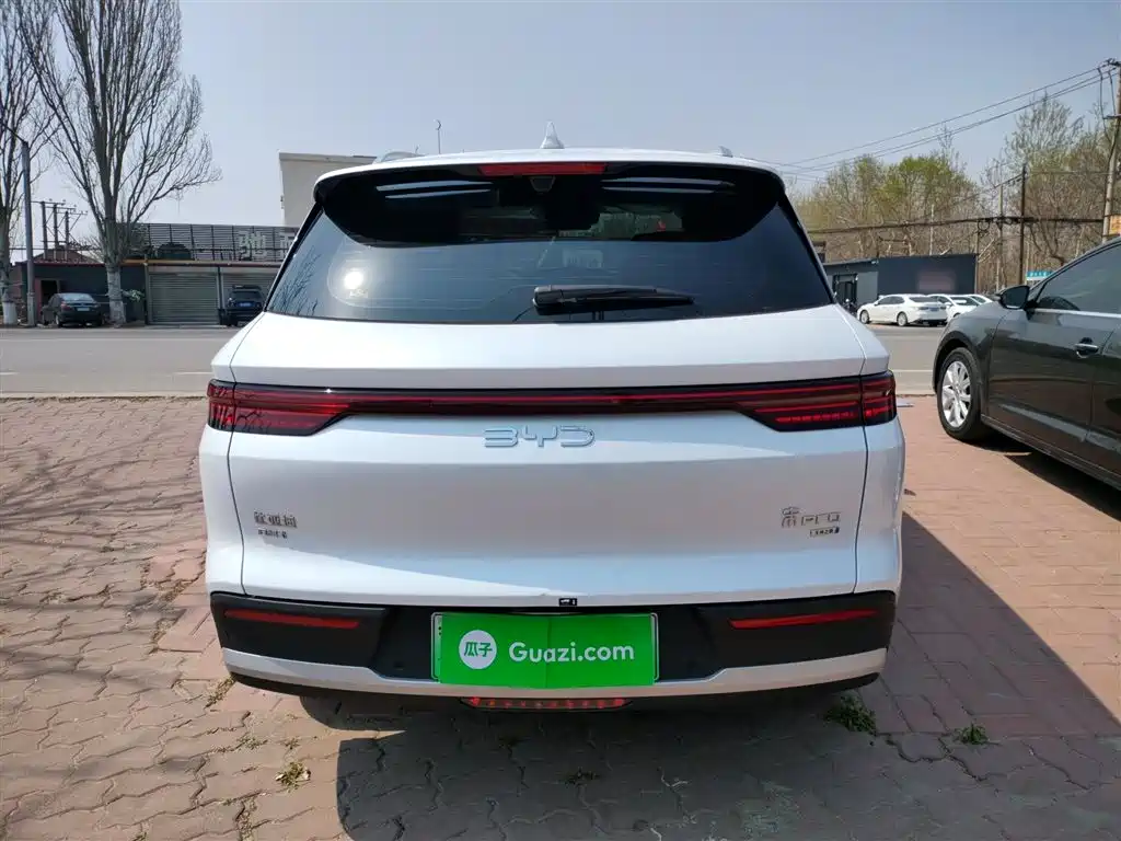 BYD Pro New Energy — фото 6