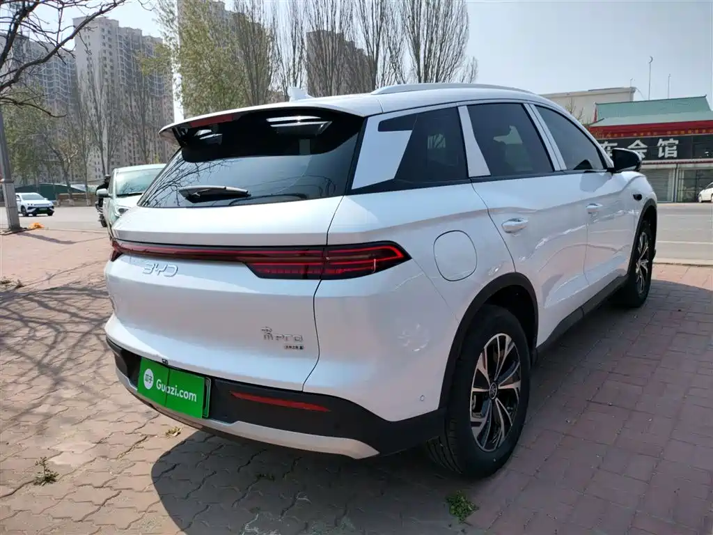 BYD Pro New Energy — фото 7