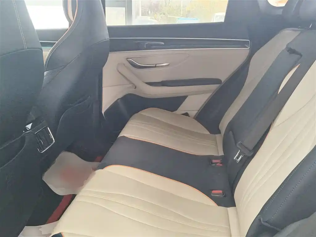 BYD PLUS New Energy — фото 17