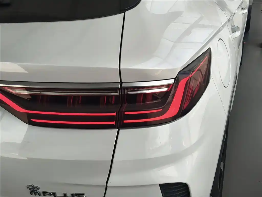 BYD PLUS New Energy — фото 8