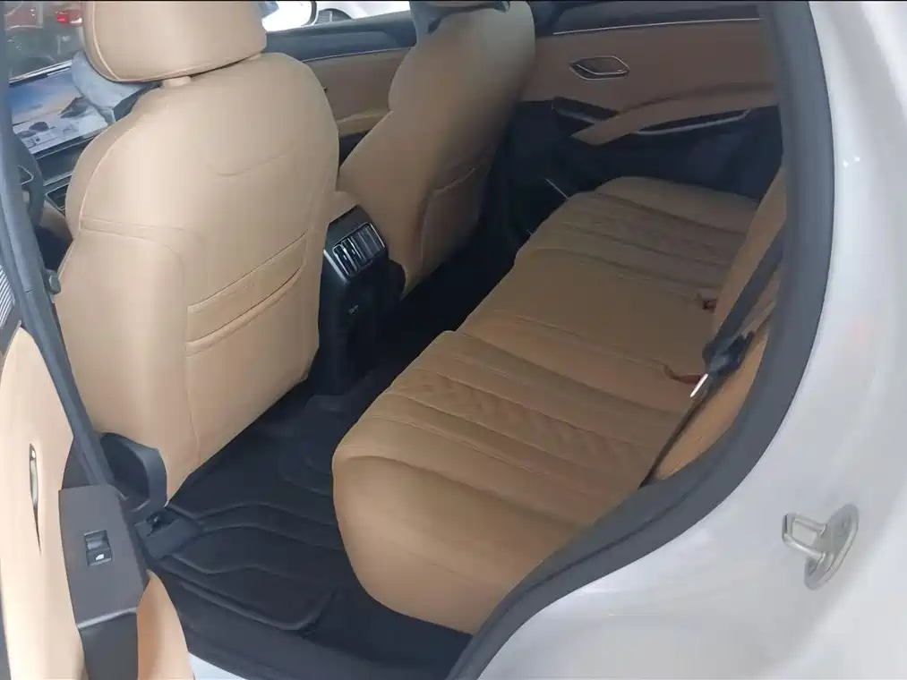 BYD L DM-i — фото 13
