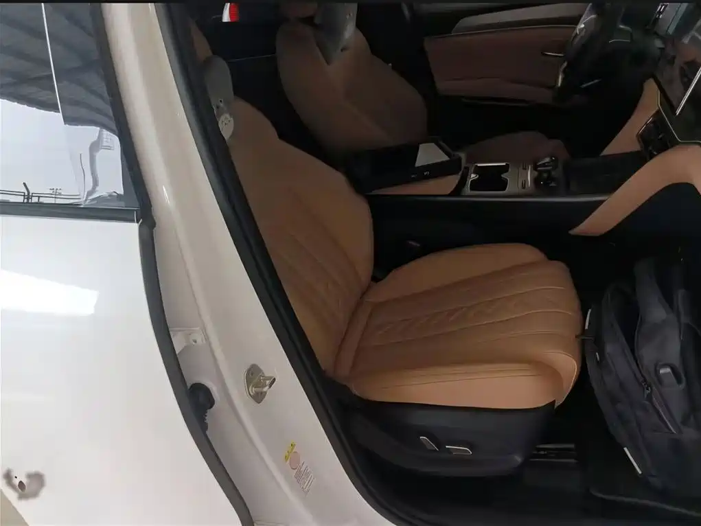 BYD L DM-i — фото 14